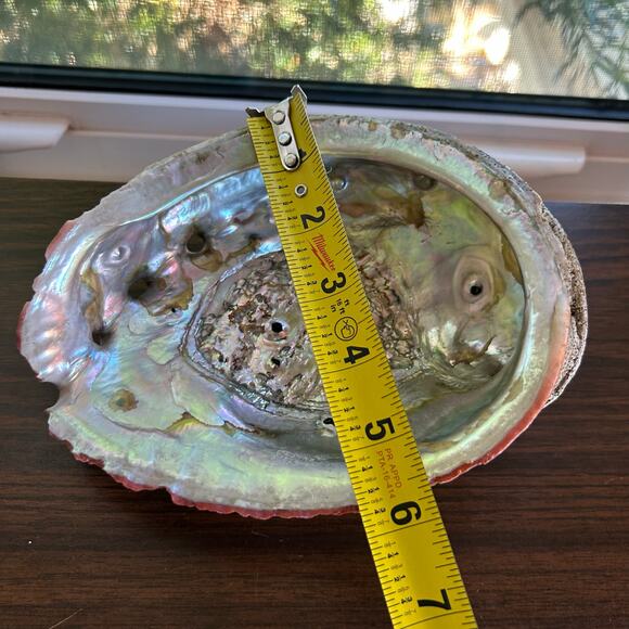 Vintage Abalone Shell – 7” Iridescent Mother of Pearl Display or Smudge Bowl - Picture 6 of 7